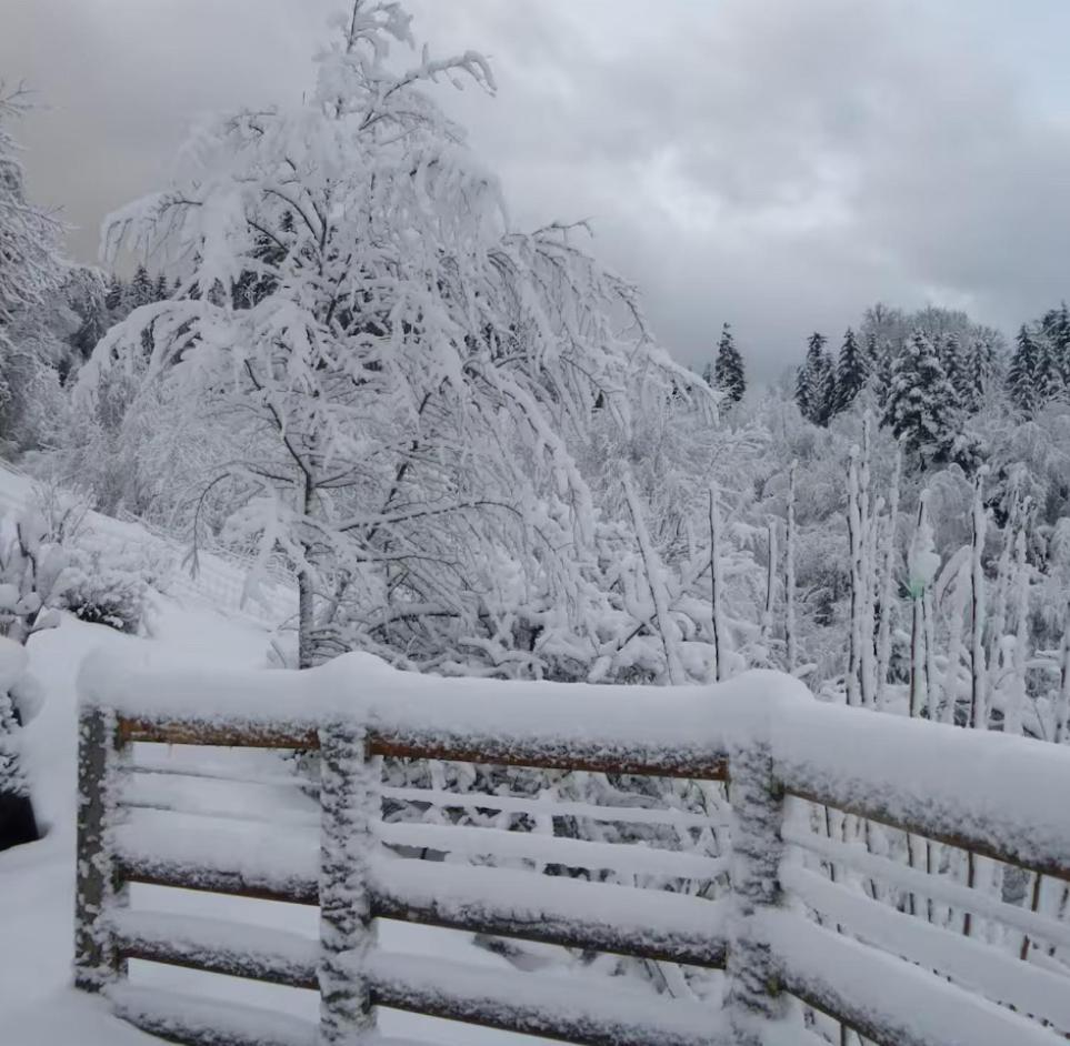 Gite La Bergerie Chalet Independant Kirchberg Eksteriør billede